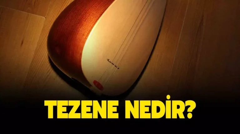 Tezene nedir? Tezene nasıl kullanılır? Bozkırın Tezenesi ne demek?