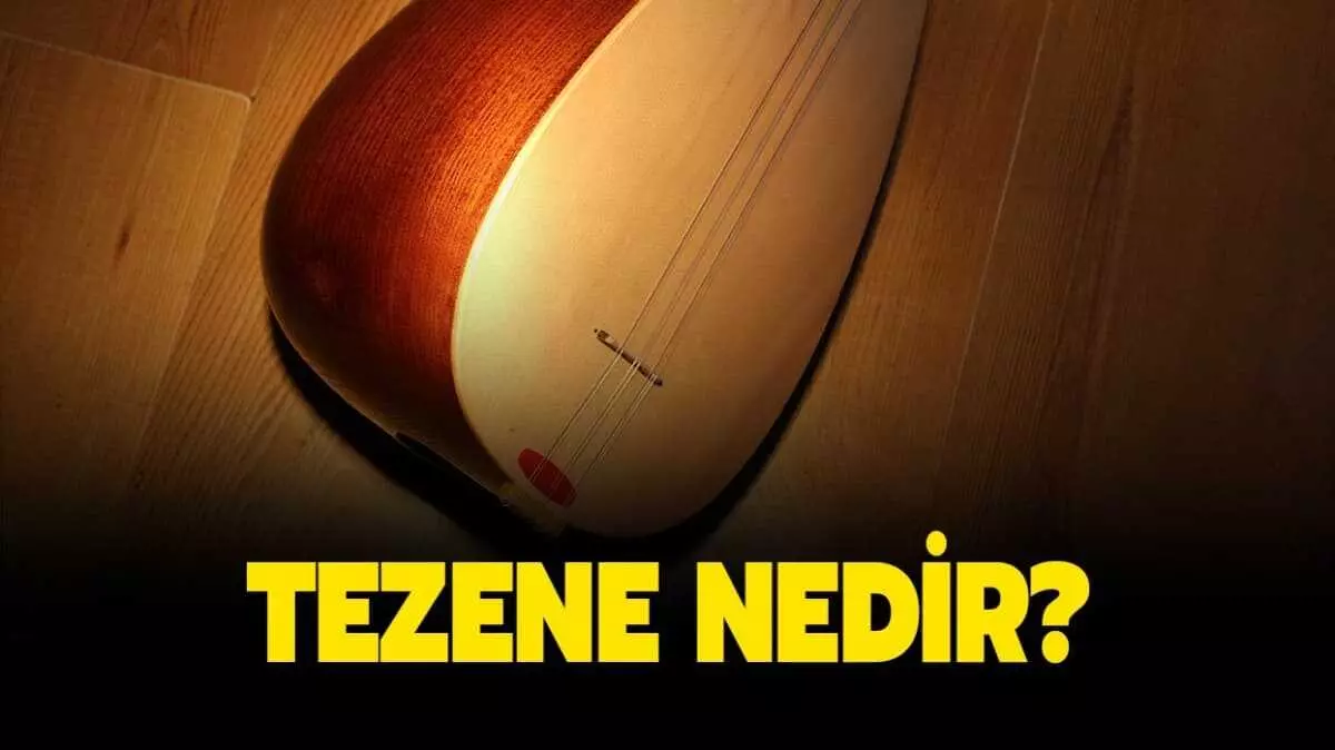 Tezene nedir? Tezene nasıl kullanılır? Bozkırın Tezenesi ne demek?